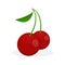 Cherry Fruit Illustration Vector Design