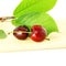 Cherry fruit with leaves and waterdrops in pure white background