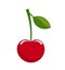 Cherry fruit vector