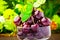 Cherry fruits in glass goblet with mint leaf