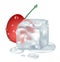 Cherry and ice cube