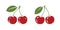 Cherry icon, symbol. Pair of red cherries, fruit vector illustration