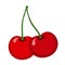 Cherry illustration in flat style. Isolated tasty berries.