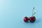 Cherry isolated. Cherry on white. Cherries. With clipping path.