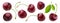 Cherry isolated on white background with clipping path, fresh cherries with stems and leaves