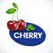 Cherry label template.Vector illustration on the theme of the logo for cherry still life composition, consisting of ripe cherry.