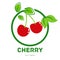 cherry logo and symbol vector