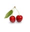 Cherry. Low-poly illustration of berry, cherry,