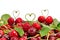 Cherry objects on white background