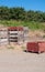 Cherry orchard agriculture with bins