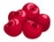 Cherry pile. Red juicy berries in cartoon style