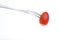 Cherry plum tomato on fork on white background