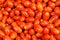 Cherry plum tomatoes - Street Market