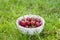 Cherry ripe large in a plate on the grass