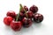 Cherry ripe on a light background, closeup , berry of the season