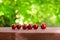 Cherry stands on a wooden surface. Green blurred background with bokeh. Juicy berries. Summer sunny day