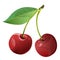 Cherry. Sweet and sour. Red. Garden fruit. Berry. Vector illustration.