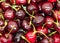 Cherry texture background. Sweet cherries background texture. Ripe sweet red cherries. Sweet ripe cherry bunch. Macro photo fresh