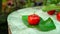 Cherry Thai or Acerola cherries fruit on wooden,