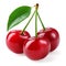 Cherry. Three berries isolated on white background