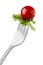 Cherry tomato and curly endive on a fork