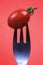 Cherry tomato pricked on fork