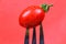 Cherry tomato pricked on fork