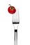 Cherry tomato sticked on a fork