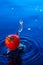 Cherry tomato in water2