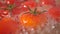 Cherry tomatoes above water surface, boiling in a pan, close up video