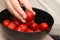 Cherry Tomatoes in a bowl in female hands. Hands cradling a black bowl filled with bright red cherry tomatoes