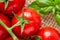 Cherry tomatoes on a branch with drops of water, macro, close up