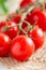 Cherry tomatoes on a branch with drops of water, macro, close up