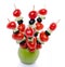 Cherry tomatoes, cucumber and olives on skewers pricked into an