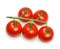 Cherry tomatoes illustration