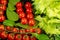 Cherry tomatoes and lettuce in water for washing