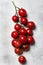 Cherry tomatoes on the vine, gray food background, top view