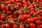 Cherry tomatos on a market