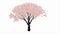 Cherry tree growing animation