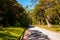 Cherry Tree Hill, a popular historic avenue in the North Eastern part of Barbados,