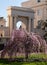 Cherry tree with pink blossom in front of arched entrance to Chester Terrace, Regent`s Park, London UK