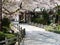 Cherry trees blooming at Gokurakuji, temple 2 of Shikoku pilgrimage