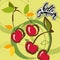 Cherry vector food fruit nature sweet leaf illustration dessert