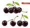 Cherry vectorized image. Fresh fruit. 3d realistic vector icon