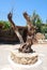 Chersonissos, Cyprus, Greece - 31.07.2013: sculpture of wood in the middle of the garden of plants and flowers in Crete