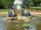 Cherubs on dolphins water fountain