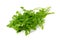 Chervil