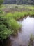 Chesapeake Bay Marsh