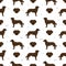 Chesapeake bay retriever seamless pattern. Different poses, coat colors set