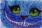 Cheshire Cat\'s smile